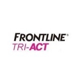 Frontline