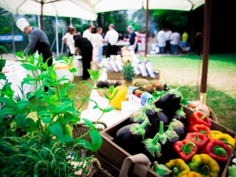 We organised a BBQ Team building on the bank of Iseo Lake for our customer Canadian Solar.