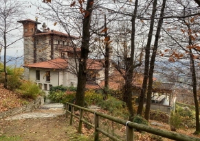 A company trip with a fun team building activity, celebrating achievements and preparing for new challenges.